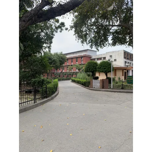 Untitled Photo