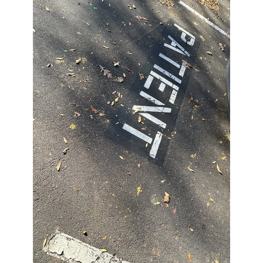 Untitled Photo