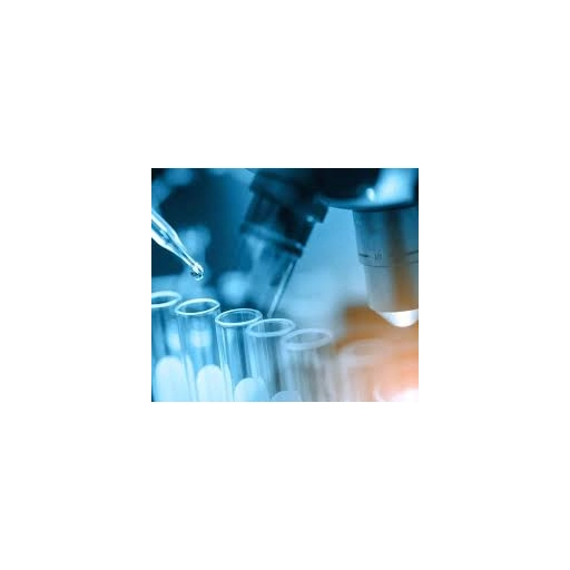 blue1.jpg