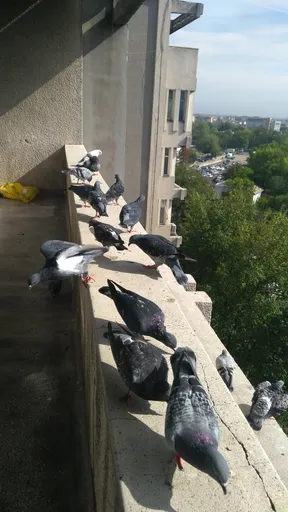Untitled Photo