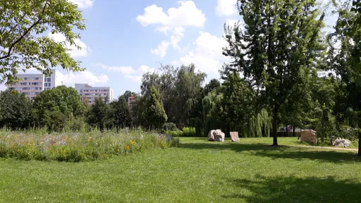 Untitled Photo