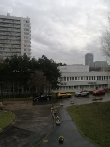Untitled Photo