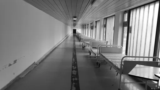 Untitled Photo