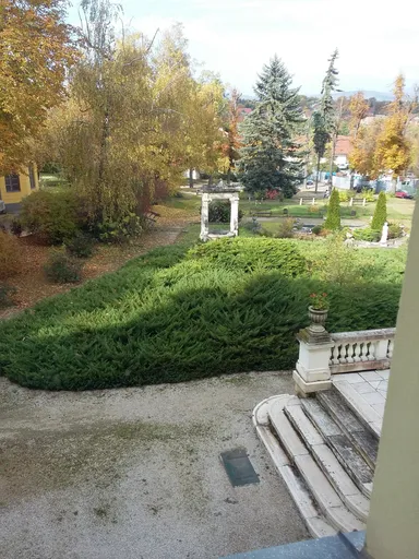 Untitled Photo