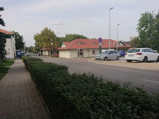 Untitled Photo
