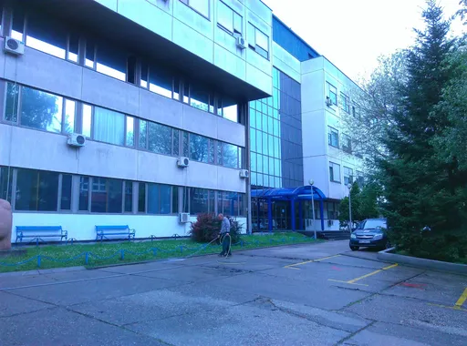 Untitled Photo