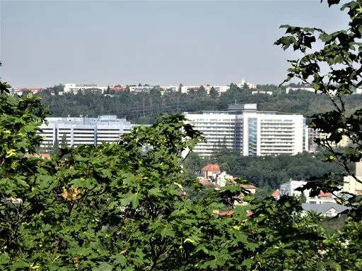 Untitled Photo