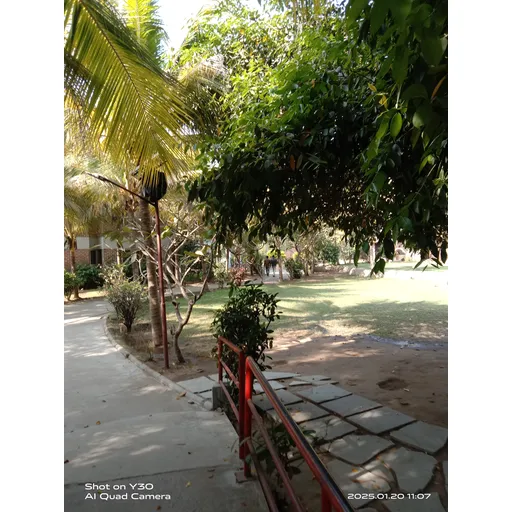 Untitled Photo