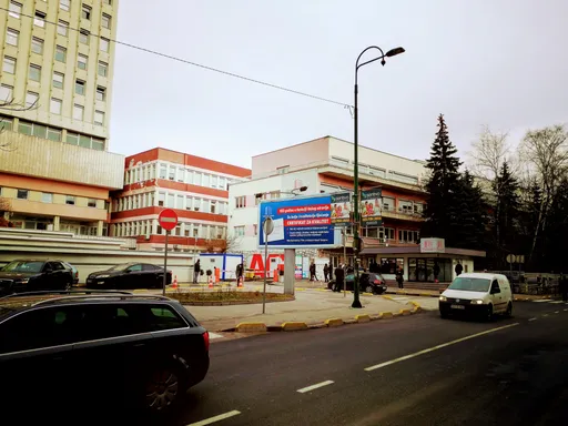 Untitled Photo
