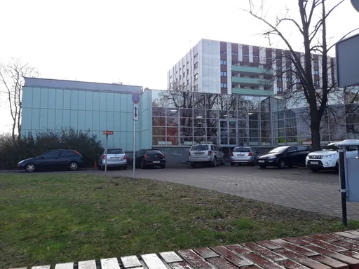 Untitled Photo