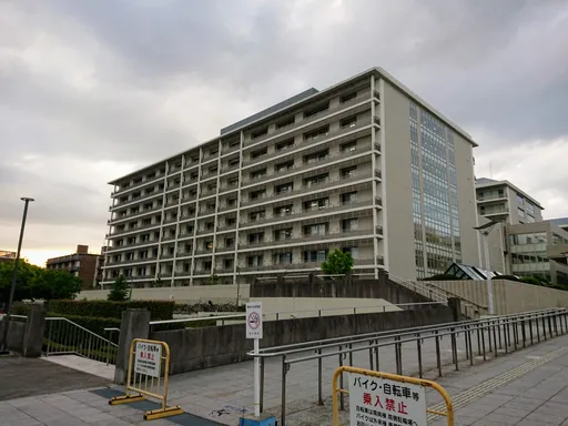 Untitled Photo
