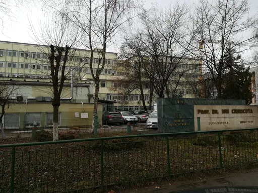 Untitled Photo