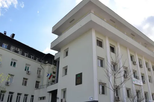 Untitled Photo