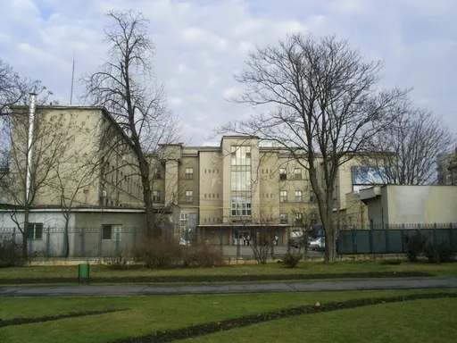 Untitled Photo