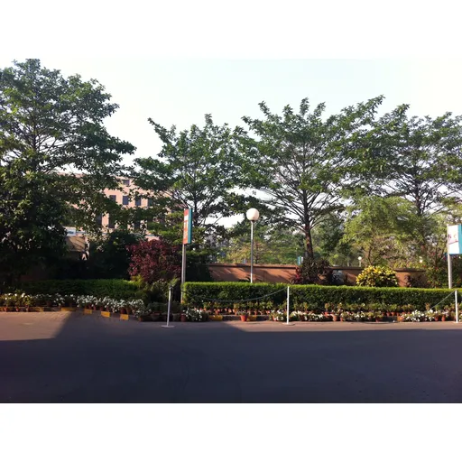 Untitled Photo