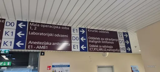 Untitled Photo