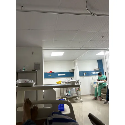 Untitled Photo